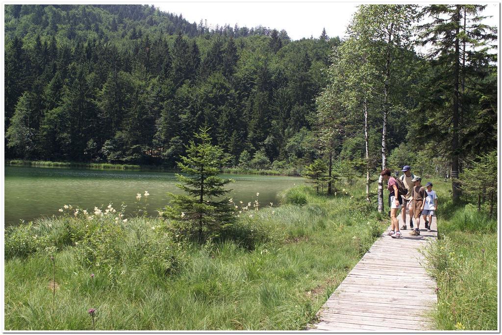 Aktivhotel & Gasthof Schmelz Ihr Urlaubs Hotel In Inzell Mit Wellness Hallenbad, Alpensauna & Dampfbad Kültér fotó